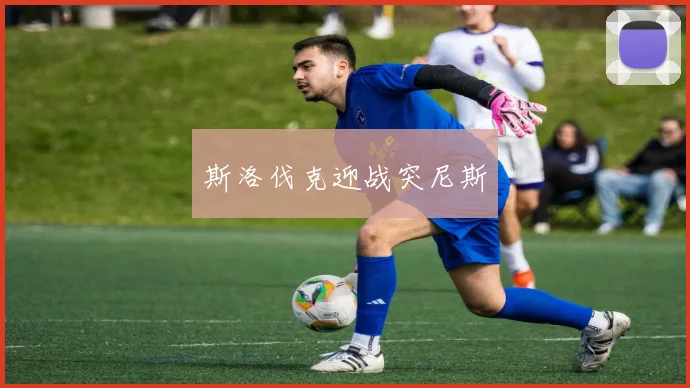 斯洛伐克迎战突尼斯