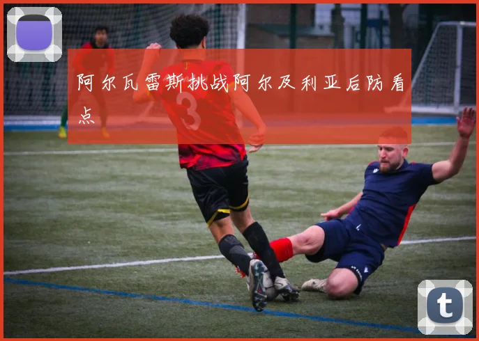阿尔瓦雷斯挑战阿尔及利亚后防看点
