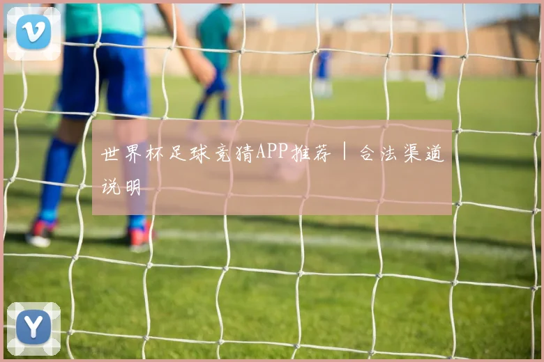 世界杯足球竞猜APP推荐｜合法渠道说明