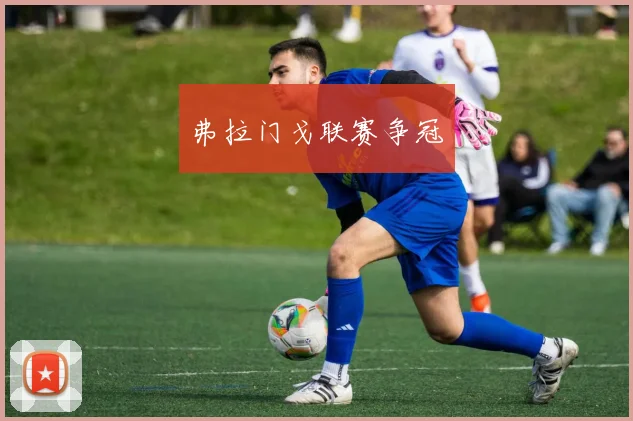 弗拉门戈联赛争冠