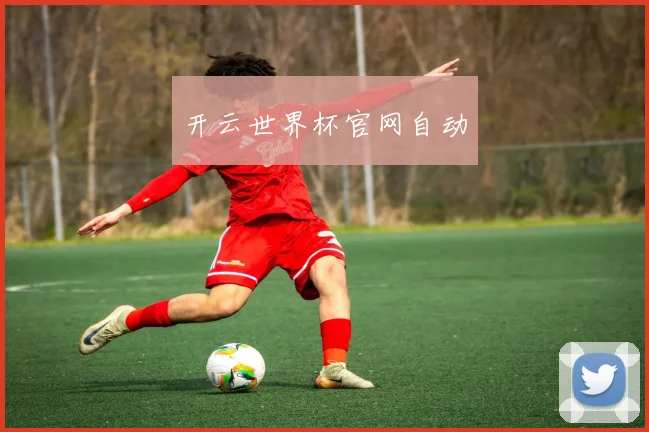 开云世界杯官网自动