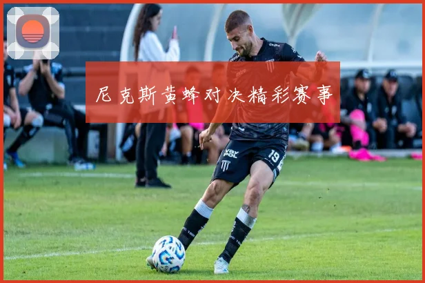 尼克斯黄蜂对决精彩赛事