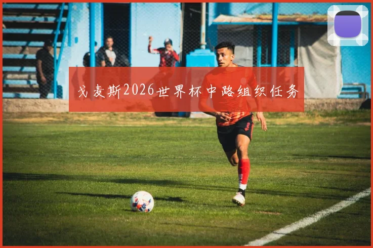 戈麦斯2026世界杯中路组织任务
