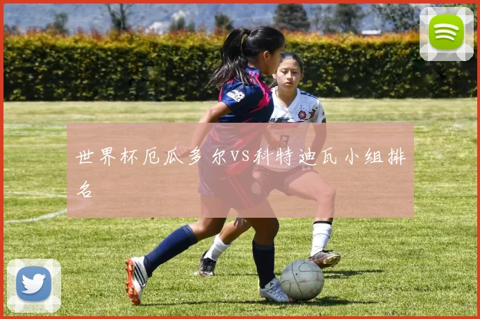 世界杯厄瓜多尔vs科特迪瓦小组排名