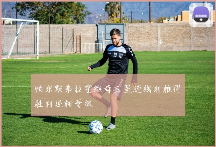 帕尔默弗拉霍维奇巨星连线利雅得胜利逆转晋级