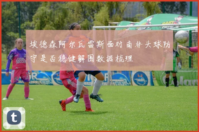 埃德森阿尔瓦雷斯面对南非头球防守是否稳健解围数据梳理