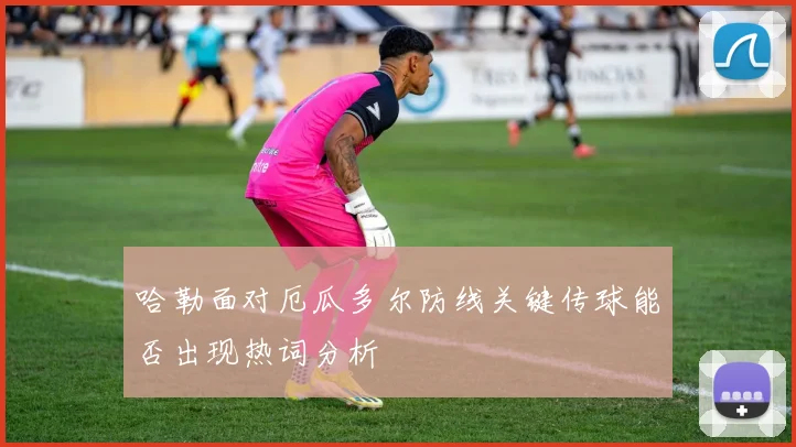 哈勒面对厄瓜多尔防线关键传球能否出现热词分析