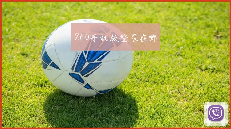 Z60手机版登录在哪