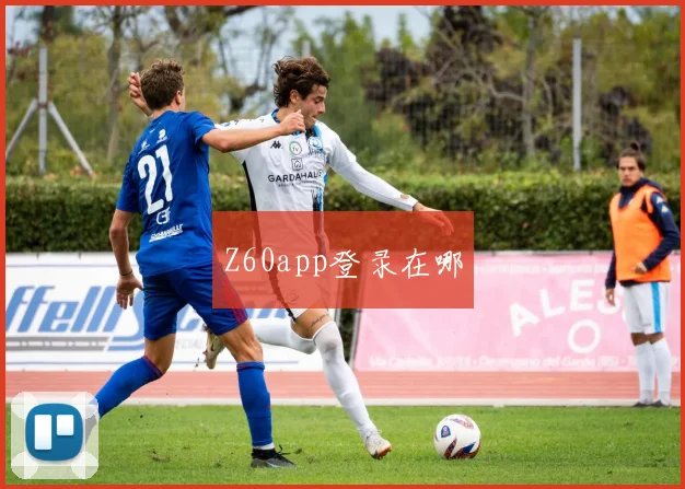 Z60app登录在哪