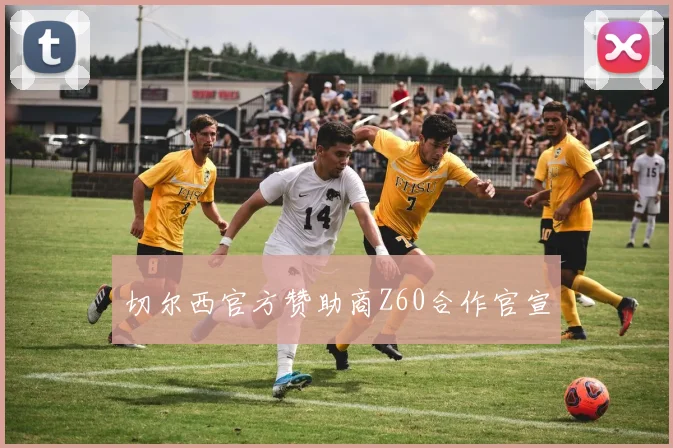切尔西官方赞助商Z60合作官宣